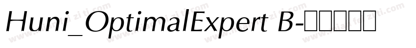 Huni_OptimalExpert B字体转换